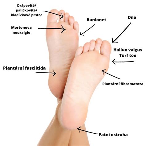Diagram merania vnútornej dĺžky nohy