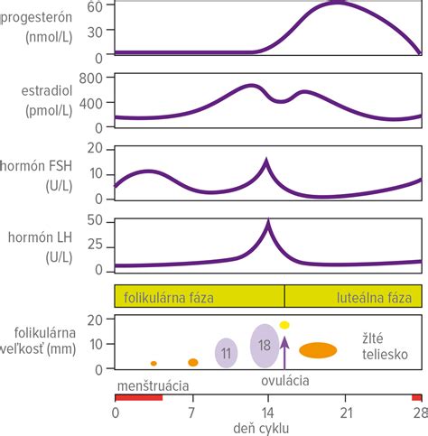 Grafické znázornenie normálneho a abnormálneho menštruačného cyklu