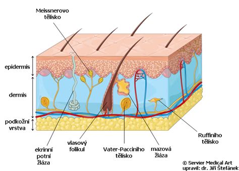 Diagram ukazujúci vrstvy oblečenia pod fusakom