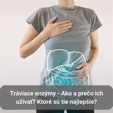 Ilustrácia znázorňujúca proces trávenia u oviec