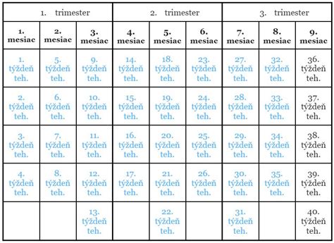kalendár s vyznačeným 12. týždňom tehotenstva
