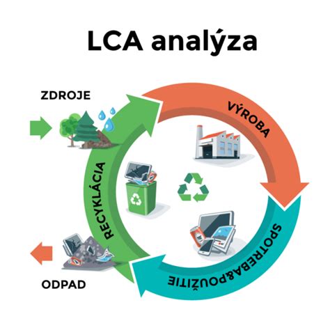 Schematické znázornenie životného cyklu mrle