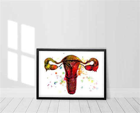 Diagram ženského reprodukčného systému s vyznačeným krčkom maternice