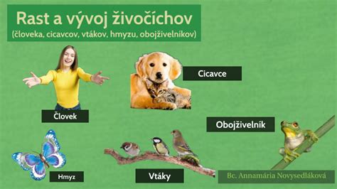 Detský vývoj a rast