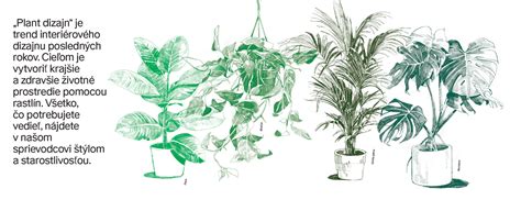 Ilustrácia rôznych bežných domácich jedov