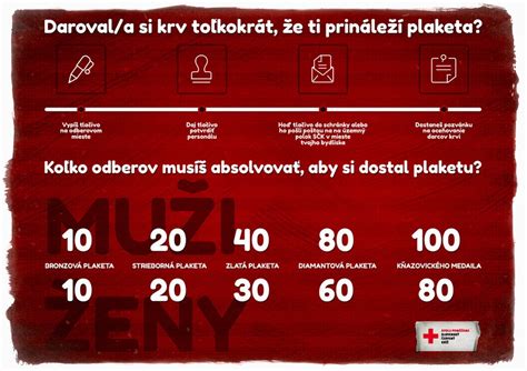 Infografika zobrazujúca postup darovania krvi