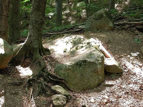 Obria stopa v Slanských vrchoch