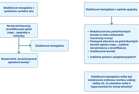 Diagram znázorňujúci vzťah medzi právom a kriminalistikou pri výsluchu