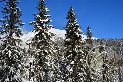 Zimná scenéria hôr