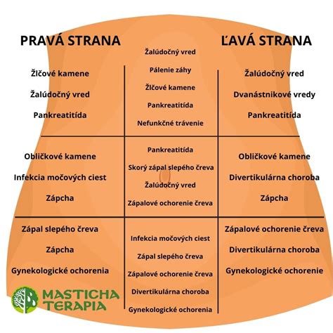 Ilustrácia bolestí v podbrušku
