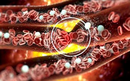 Obrázok znázorňujúci vitamín K a jeho vplyv na zrážanie krvi