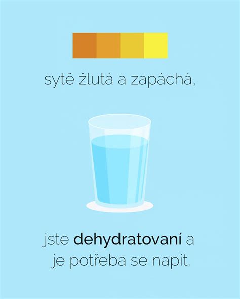 Infografika znázorňujúca odporúčaný pitný režim