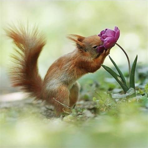 Žena pozerajúca sa s obavami