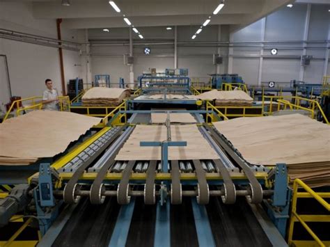 Vzorka drevenej dekoračnej dyhy