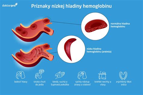 Infografika zobrazujúca hladiny bielkovín v Triple-teste