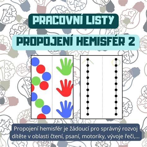 diagram mozgových hemisfér a prepojení