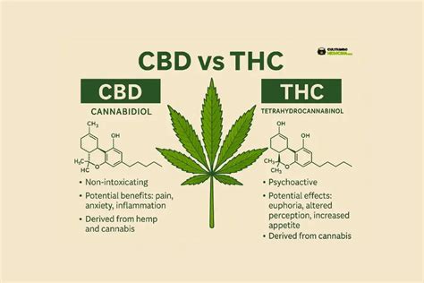 Molekulárna štruktúra THC a CBD