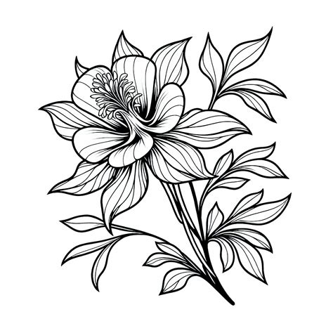 Ilustrácia kvetu so šiestimi okvetnými lístkami, kde každý okvetný lístok je farebne odlíšený a označený názvom dňa diéty (napr. Ryba, Zelenina, Kurča, Obilniny, Tvaroh, Ovocie).