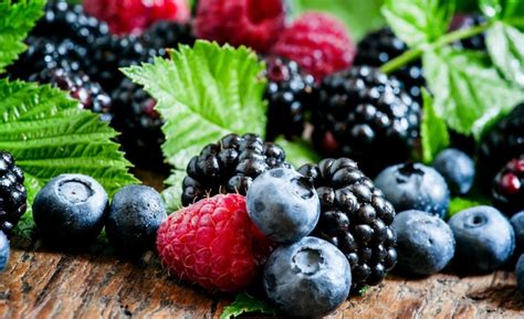 Ilustrácia superpotravín ako sú bobuľové ovocie, orechy a zelený čaj