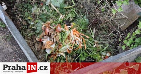 Ilustrácia potravinového odpadu