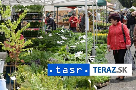 Ilustrácia záhradkárčenia v meste