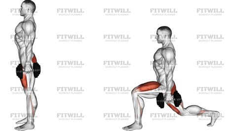 Diagram znázorňujúci zapojenie svalov pri drepe