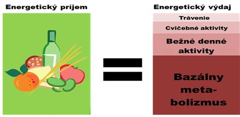 Graf porovnávajúci energetický príjem a výdaj