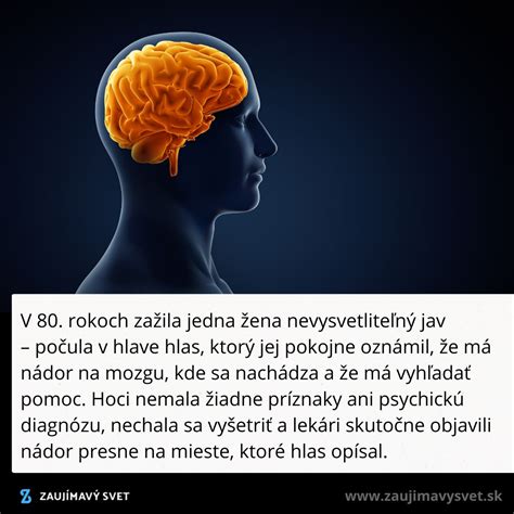 Ilustrácia ochranných obalov mozgu