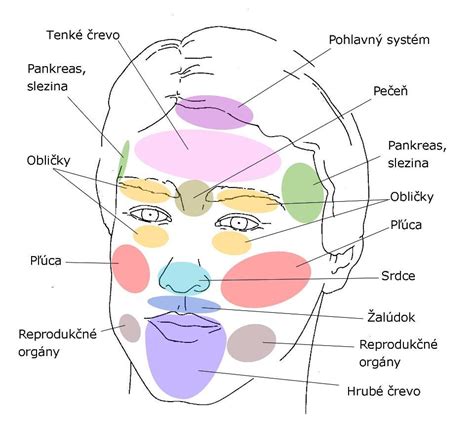 Diagram zobrazujúci správne usadenie okuliarov na tvári dieťaťa