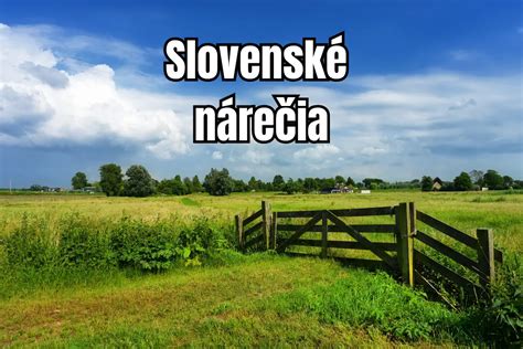 Francúzske slová s významom