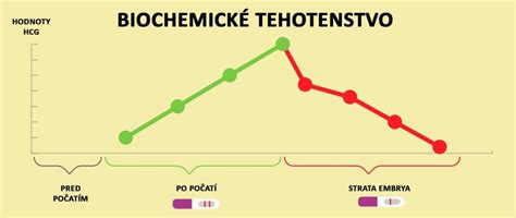 Diagram znázorňujúci mimomaternicové tehotenstvo a biochemické tehotenstvo