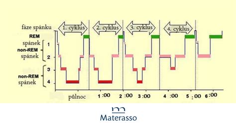 Graf znázorňujúci fázy spánku počas spánkovej regresie