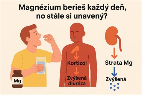 Ilustrácia znázorňujúca pre-ejakulát a jeho zloženie