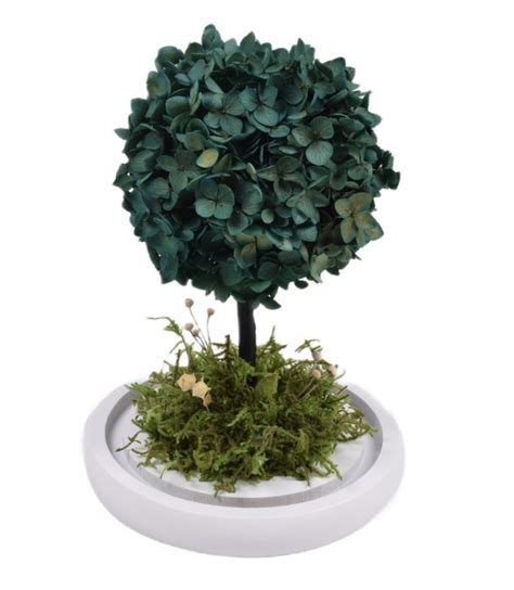 Prírodný latexový strom