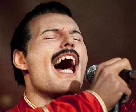 Freddie Mercury s jednou zo svojich mačiek