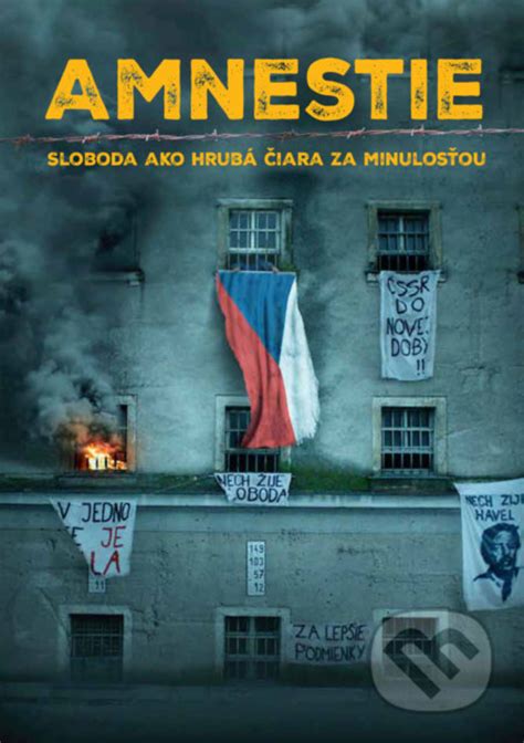 Plagát k filmu Amnestie