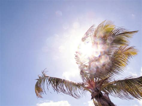 Ilustrácia znázorňujúca psychické dopady