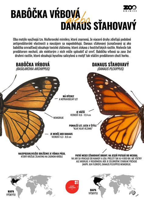 Infografika: Rozdiel medzi štandardným a predĺženým rodičovským príspevkom
