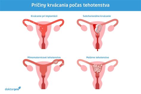Schéma hormonálnych zmien počas tehotenstva