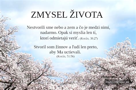 Schéma zobrazujúca rôzne filozofické smery a ich pohľady na zmysel života