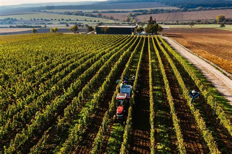 Ilustrácia znázorňujúca rôzne krajiny a cesty spájajúce ich