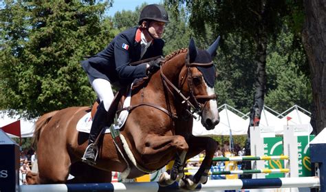 Jazdecké disciplíny