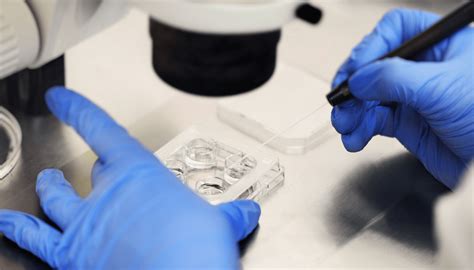 Ilustrácia moderného embryologického laboratória