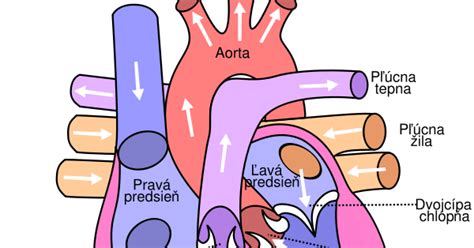 Ilustrácia srdca, ktoré sa otvára a z ktorého vyteká pokoj